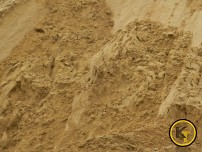 Песок речной Песок речной мелкий